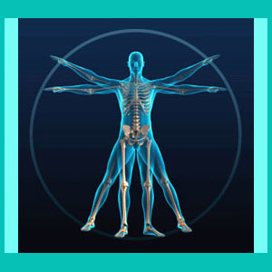 herniated disc exercises