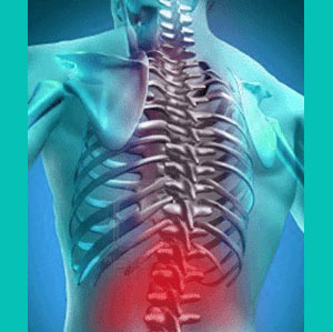 herniated disc groin pain