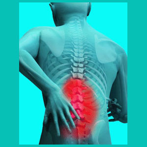 herniated disc in the lower back