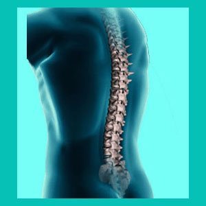 herniated disc in the middle back