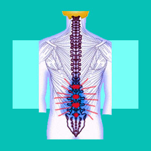 herniated disc tingling