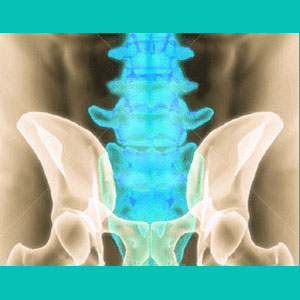 Osteochondral Bar