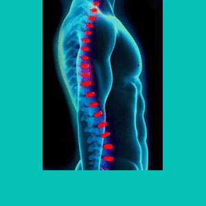 physical therapy for herniated discs