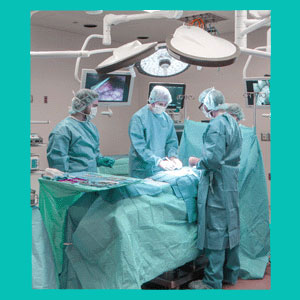 surgical consultation for herniated disc
