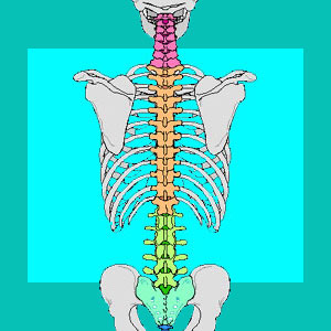 tempurpedic for herniated discs